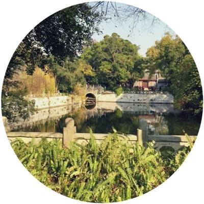 御龙战仙ol手游bt版下载